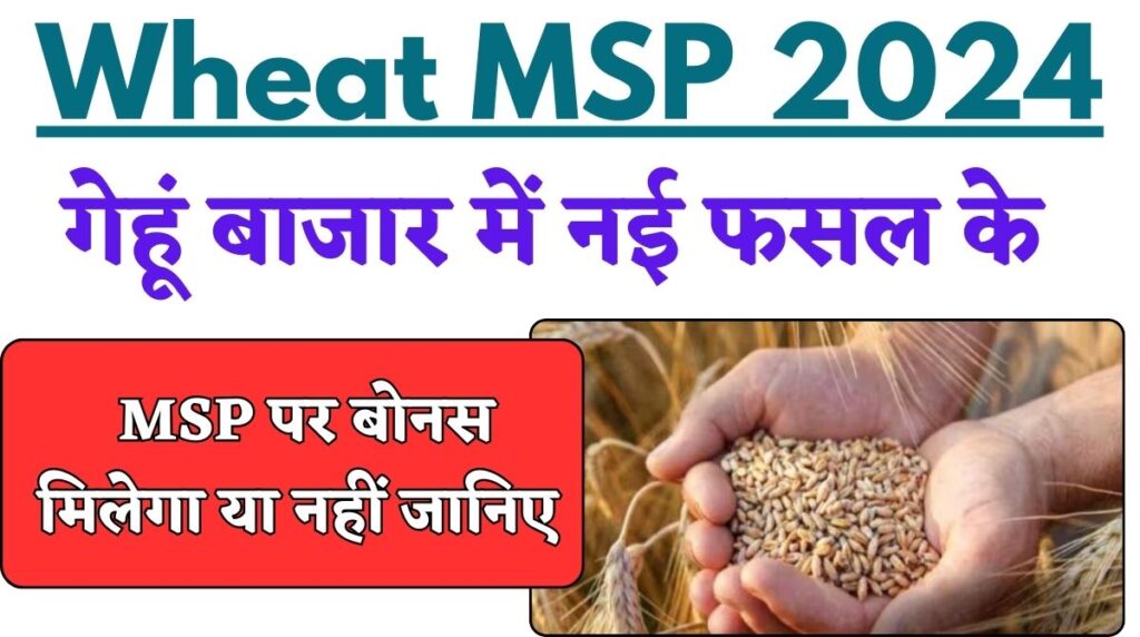 Wheat MSP 2024: गेहूं बाजार में नई फसल के MSP पर बोनस मिलेगा या नहीं जानिए