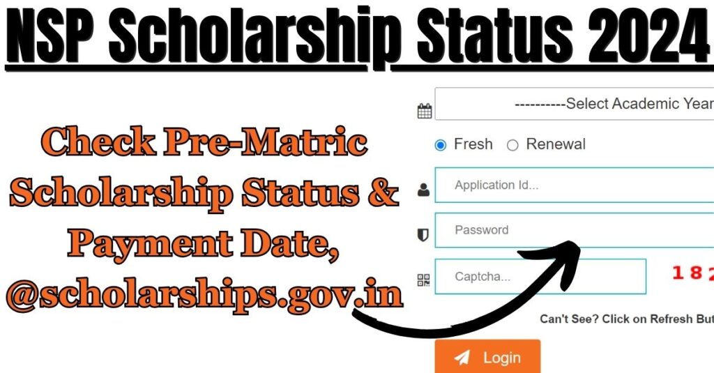 एनएसपी छात्रवृत्ति स्थिति 2024: प्री-मैट्रिक छात्रवृत्ति स्थिति और भुगतान तिथि जांचें, @scholarships.gov.in